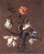 Mario Dei Fiori Theee Caper Flower,a Carnation,a Bindweed,and a Tulip Spain oil painting reproduction